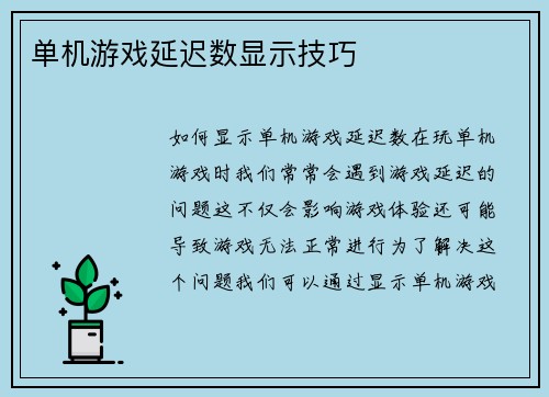 单机游戏延迟数显示技巧